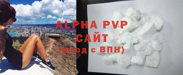 a pvp Бородино