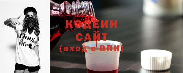 a pvp Бородино