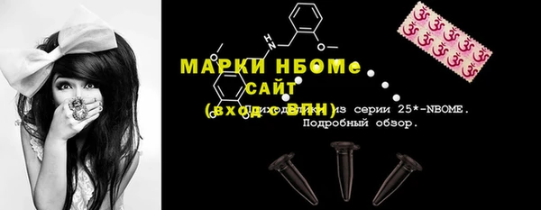 a pvp Бородино