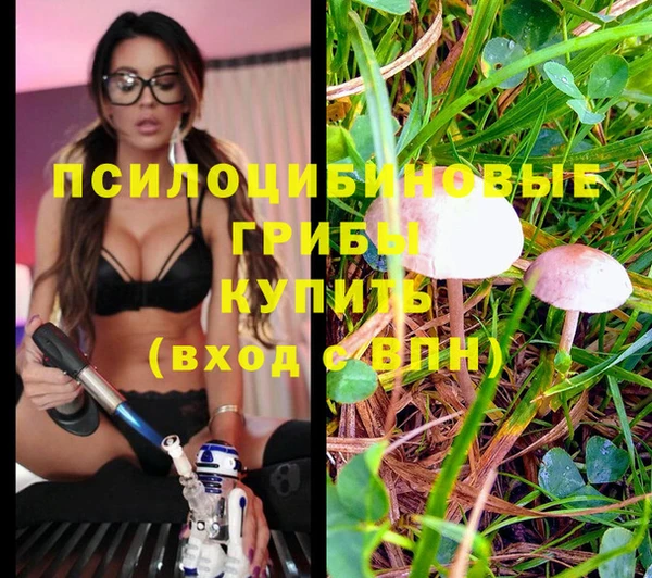 марки lsd Бронницы