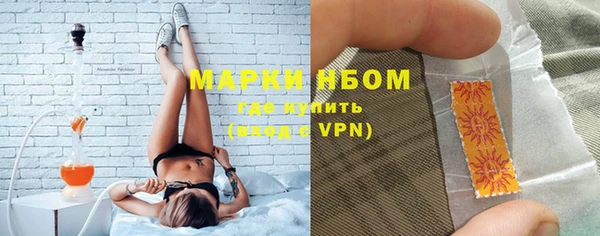 a pvp Бородино