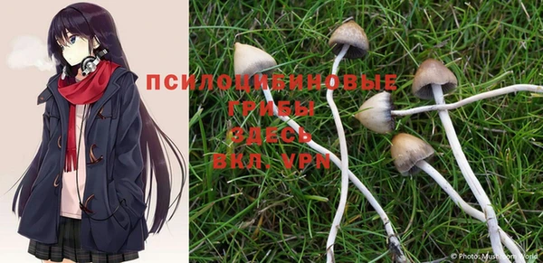 a pvp Бородино