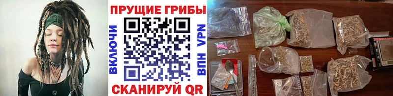 blacksprut как войти Северодвинск Галлюциногенные грибы Cubensis